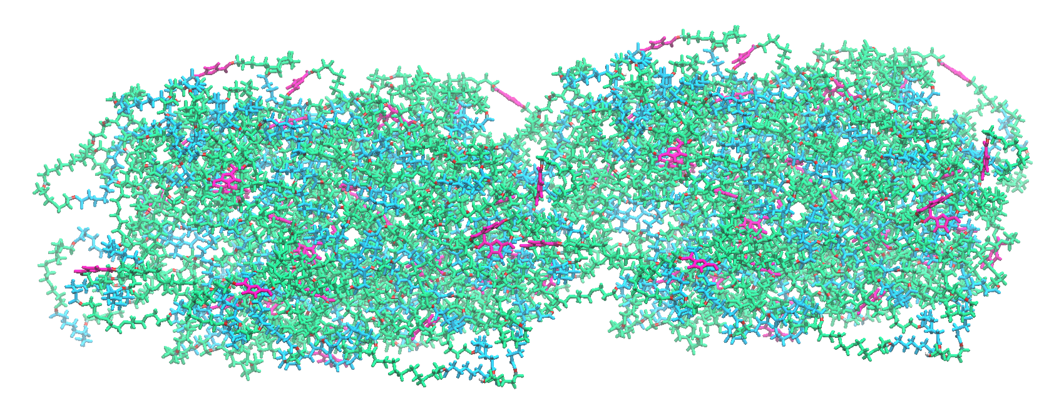Polymer deformation molecular dynamics simulation